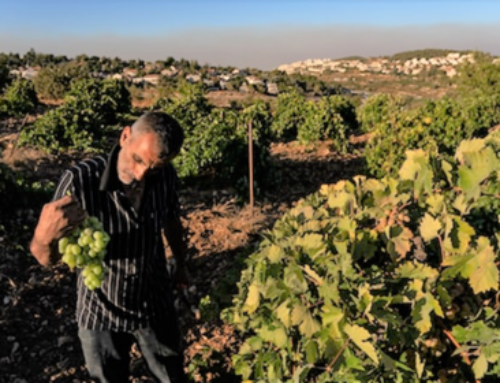 Atelier WES pour les associations pilotes d’agriculteurs palestiniens sur la gestion et les pratiques optimales d’irrigation