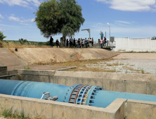 Formation des formateurs du WES sur les systèmes d’irrigation agricole en Tunisie
