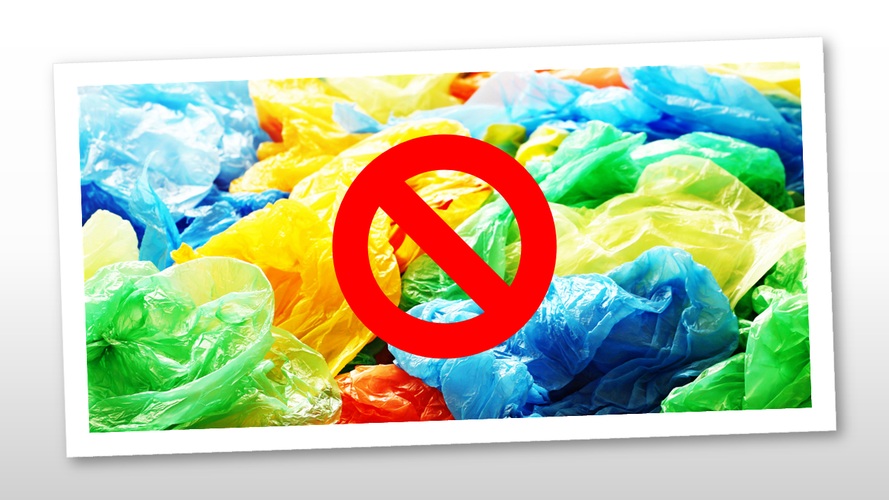 N-E-TN-P4 : Renforcement des mesures politiques et juridiques engagées par la Tunisie pour la réduction et l’interdiction de certains types d’emballages en plastique à usage unique