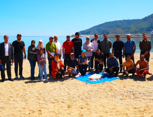 WES supports Morocco’s fight against marine litter with comprehensive monitoring actions in Tetuan