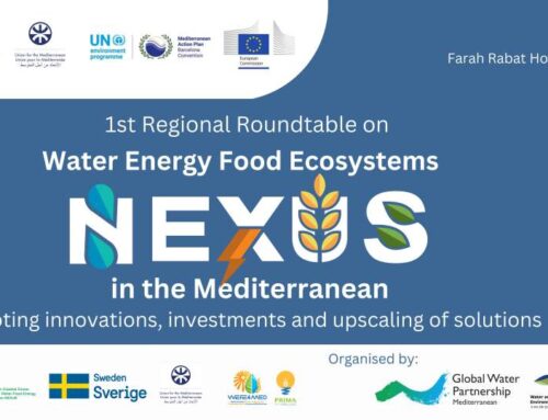 1st Regional WEFE Nexus Roundtable in the Mediterranean on “Promoting innovation, investments and upscaling solutions”