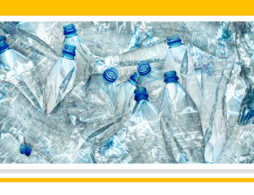 WES Information Bulletin on the Joint initiative for the implementation of the pet bottle packaging management in Morocco