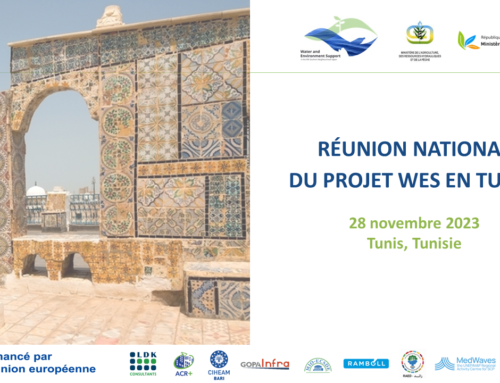 Réunion Nationale WES en Tunisie
