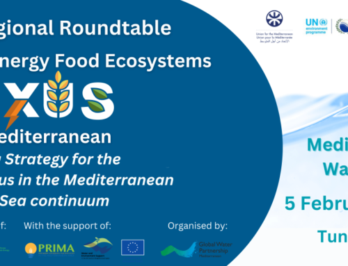 RW-1-REG: 2nd Regional Roundtable on Water-Energy-Food-Ecosystems (WEFE) Nexus in the Mediterranean