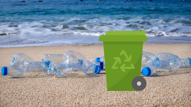 RE-9-REG: المناطق الساحلية والبحرية المحمية الخالية من البلاستيك أحادى الاستخدام