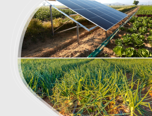 Bulletin d’information WES sur la gestion et les pratiques d’irrigation optimales
