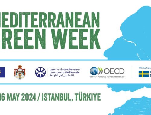 WES Project participated in the first UfM Mediterranean Green Week 14-16/05/2024, Istanbul, Türkiye
